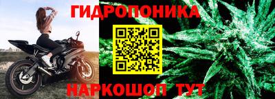 гидра Краснознаменск