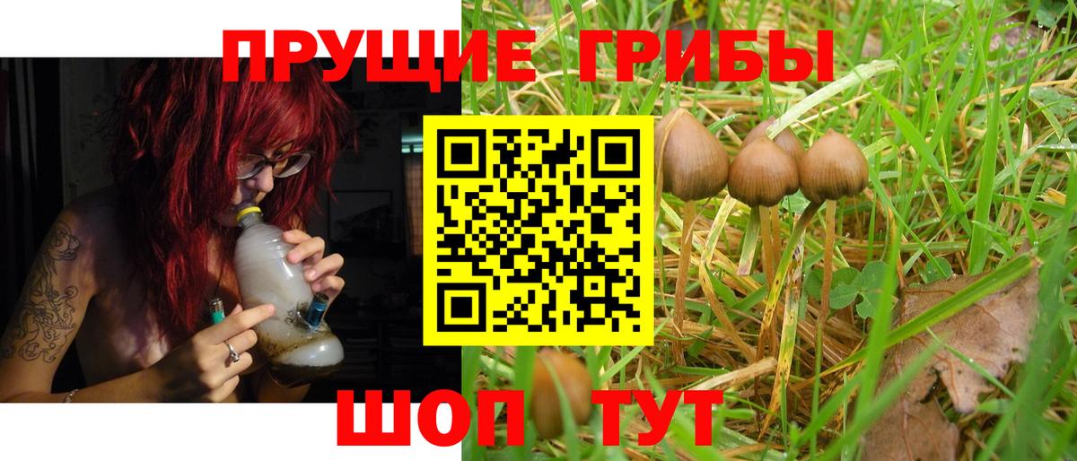 Ипатово  цены наркотик  Вход с VPN  Псилоцибиновые грибы ЛСД 